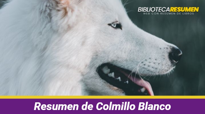 Resumen de Colmillo Blanco